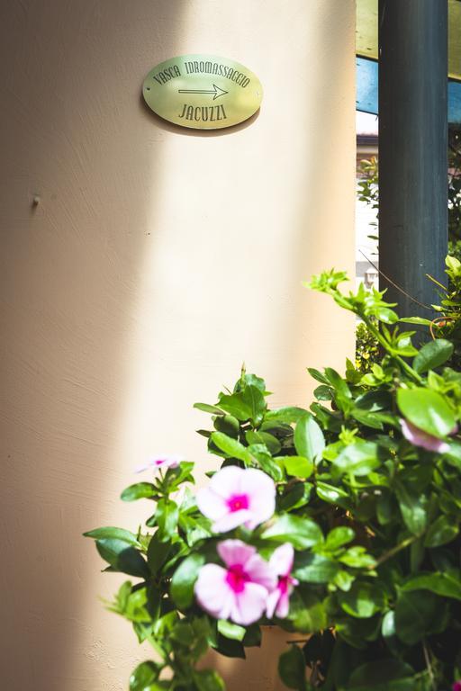 Hotel Sonia Forte dei Marmi Dış mekan fotoğraf
